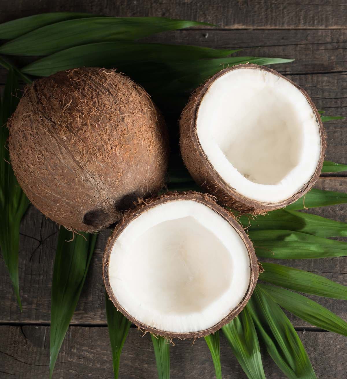 Coconut